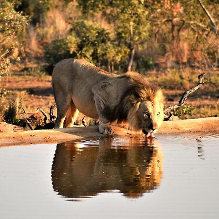 Jamila Game Lodge Vaalwater Εξωτερικό φωτογραφία